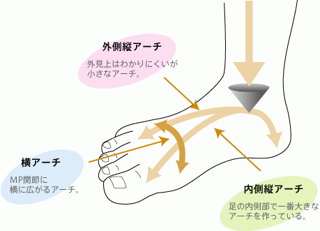 足のアーチ